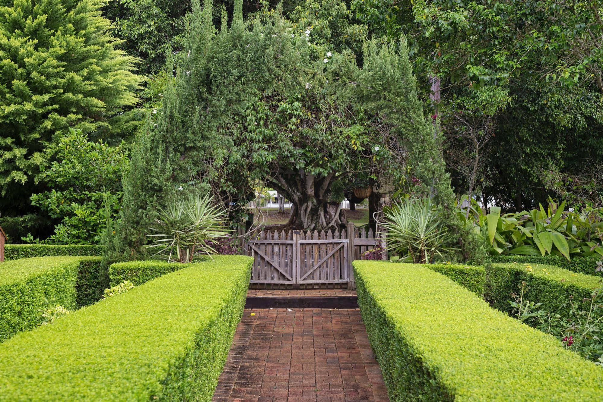 Allumbah Pocket Cottages Yungaburra Extérieur photo