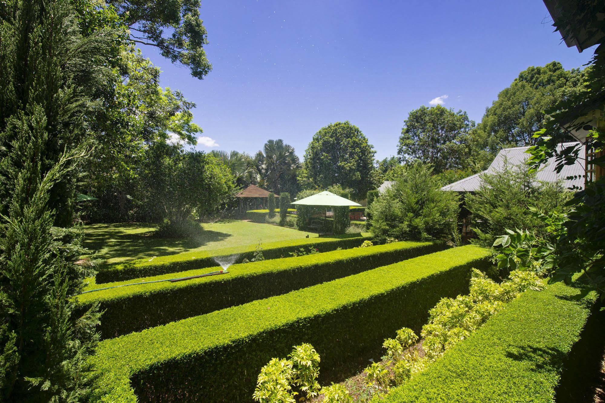 Allumbah Pocket Cottages Yungaburra Extérieur photo